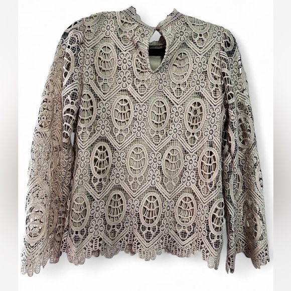 Ultra Pink Lace Blouse in Cream - Picture 5 of 11